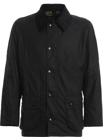 Barbour Ashby