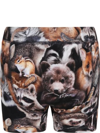 Molo Multicolor Boxer For Boy