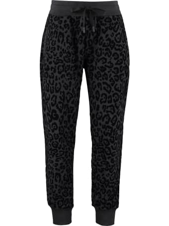 Dolce & Gabbana Printed Cotton Track-pants