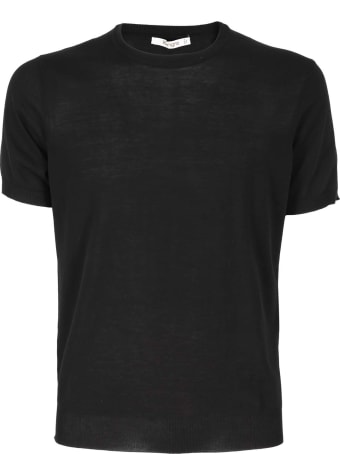 Kangra Top