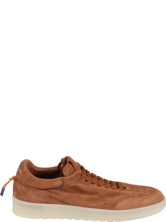 Barracuda Sneakers