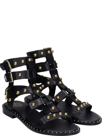 Ash Petrus 01 Flats In Black Leather