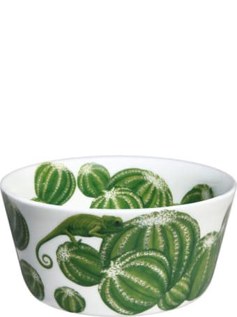 Taitù Set of 4 Small Bowls - Cactus Collection