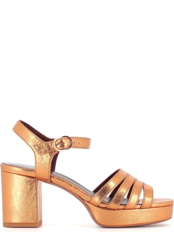 Avril Gau Sandal Eban