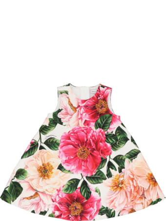 Dolce & Gabbana Dress