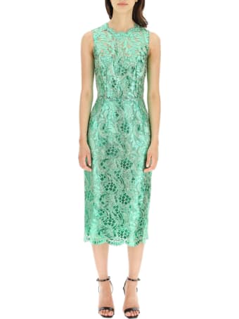 Dolce & Gabbana Knee-lenght Dress With Laminated Lace