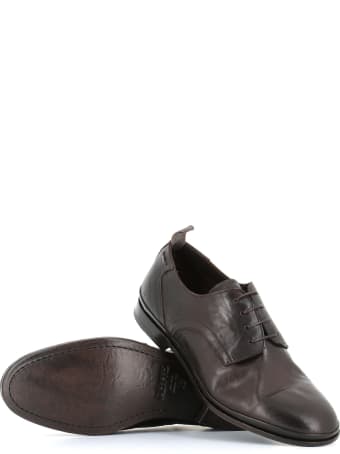 Alexander Hotto Derby 57037