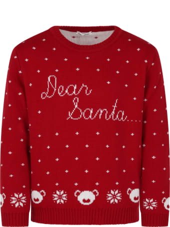 Little Bear Red Sweater For Kids