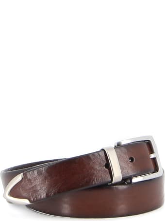 Anderson's Cintura