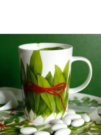Taitù Set of 2 Mugs - Fil Rouge Foglie Collection