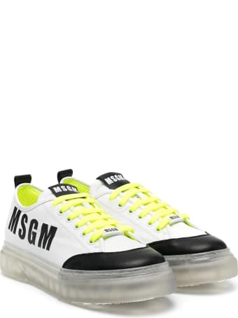 MSGM Sneakers With Transparent Sole