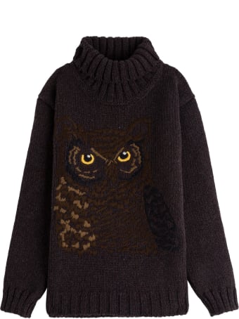 Dolce & Gabbana Wool Blend Sweater With Owl Embroidery