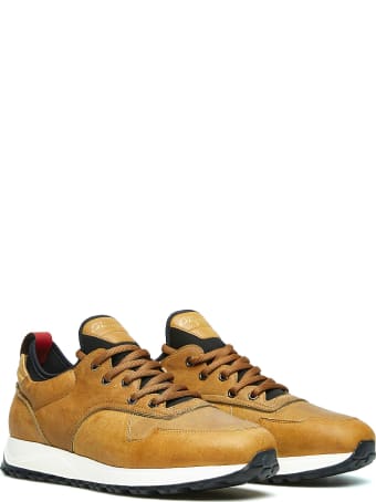 Barracuda Sneaker