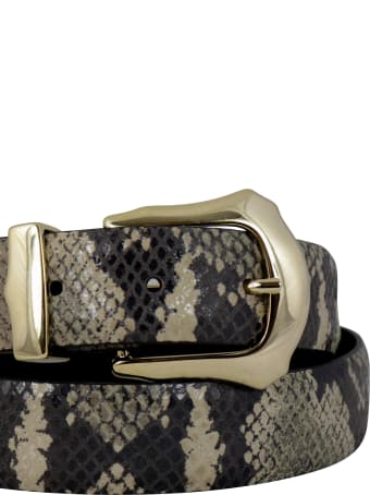 Andrea D'Amico Camox Pitone Belt