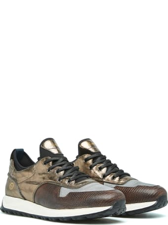 Barracuda Sneaker