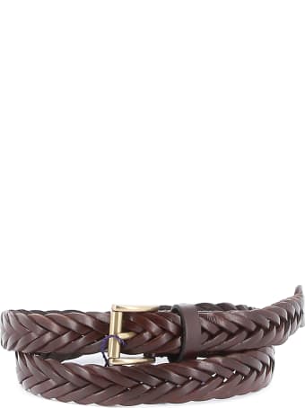 Anderson's Cintura