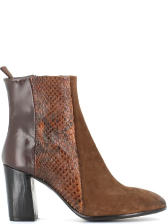 Alexander Hotto Ankle Boot 58603