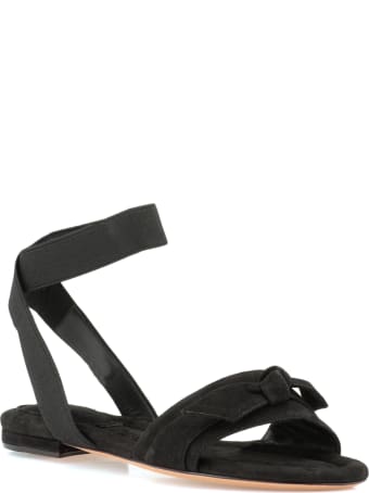 Alexandre Birman Clarita Sandal