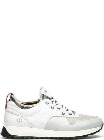 Barracuda Sneaker