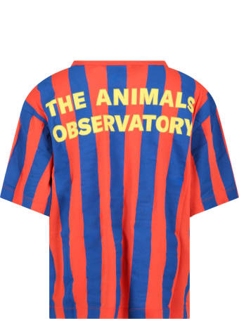 The Animals Observatory Multicolor T-shirt For Kids
