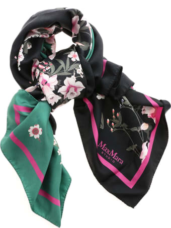 Max Mara Studio Scarf