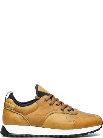 Barracuda Sneaker