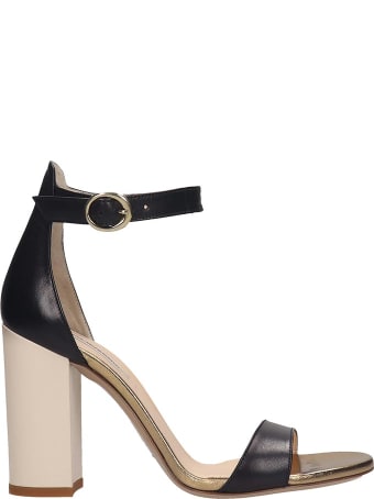 Fabio Rusconi Sandals In Black Leather