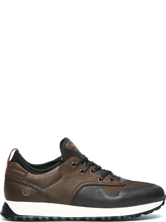Barracuda Sneaker
