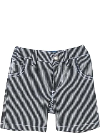Fay Bermuda Shorts With Stripes Print