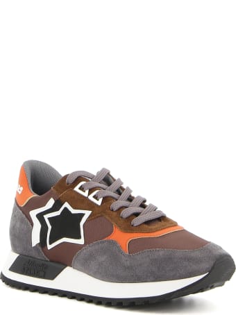 Atlantic Stars Draco Cfnc Dr01