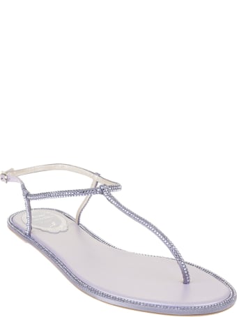 René Caovilla Lavender Diana Elegant Thong Sandal
