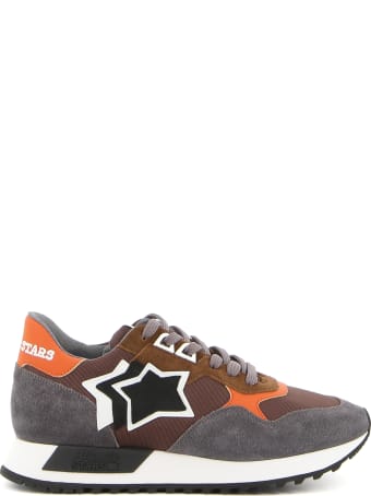 Atlantic Stars Draco Cfnc Dr01