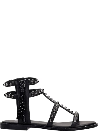Bibi Lou Flats In Black Leather