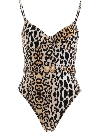 reina olga one piece