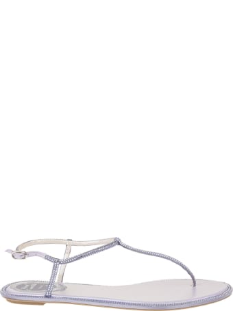 René Caovilla Lavender Diana Elegant Thong Sandal