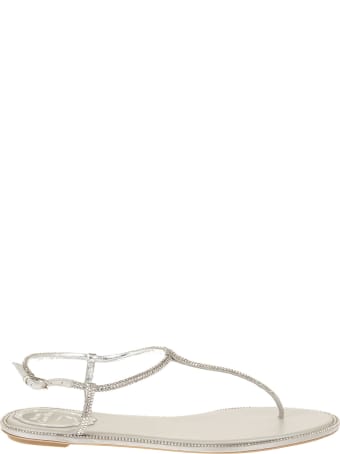 René Caovilla Grey Diana Elegant Thong Sandal