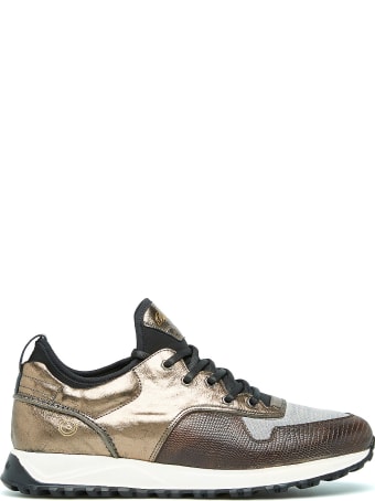 Barracuda Sneaker