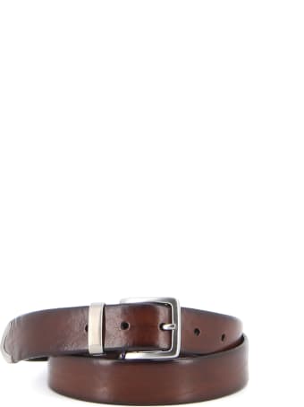 Anderson's Cintura