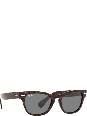Ray-Ban Ray-ban Rb2201 Tortoise Sunglasses