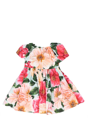 Dolce & Gabbana Dress