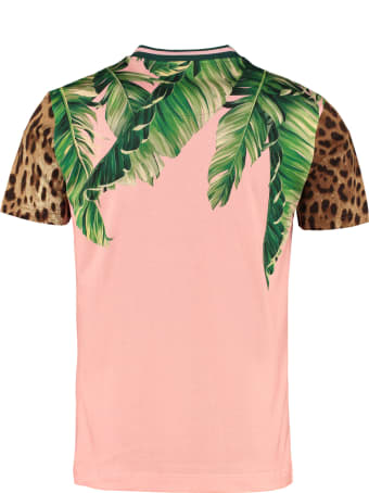 Dolce & Gabbana Printed Cotton T-shirt