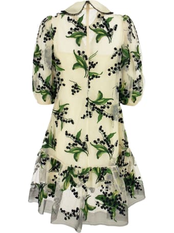 RED Valentino May Lily Embroidered Point D'esprit Tulle Dress
