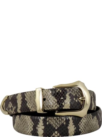 Andrea D'Amico Camox Pitone Belt