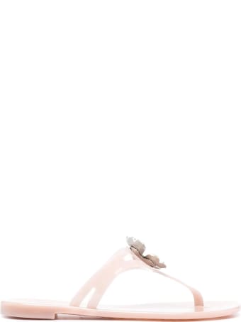 Casadei Light Pink Quatrefoil Jelly Sandal