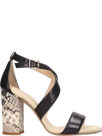 Fabio Rusconi Sandals In Black Leather