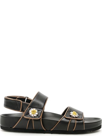 Fabrizio Viti Single Daisy Berkley Sandals