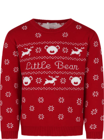 Little Bear Red Sweater For Kids