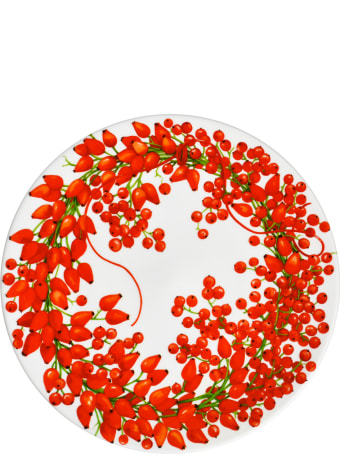 Taitù Set of 4 Salad Plates - Fil Rouge Bacche Collection