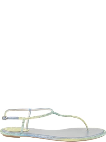 René Caovilla Shaded Light Blue Diana Thong Sandal