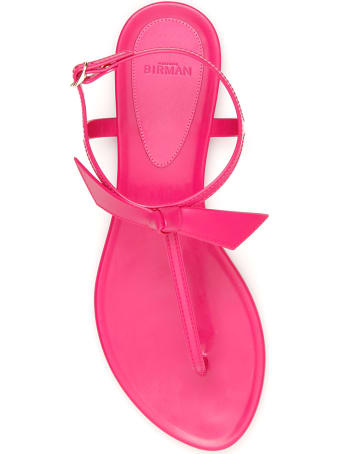 Alexandre Birman Clarita Jelly Tpu Sandals